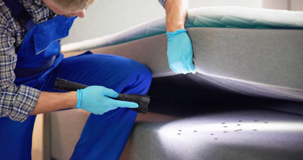 Best Emergency Pest Control  in Great Neck Gardens, NY