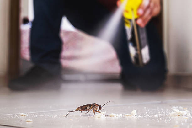 Pest Control Cost in Great Neck Gardens, NY