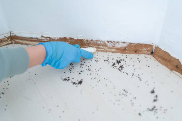 Best Best Pest Control Companies  in Great Neck Gardens, NY